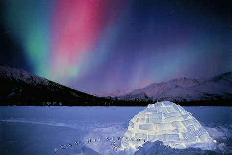 Northern Lights Igloo Alaska | Photo, Information