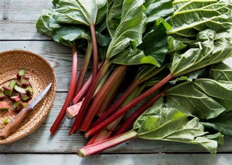 14 Absolute Best Rhubarb Varieties To Grow In Your Garden - Gardening ...