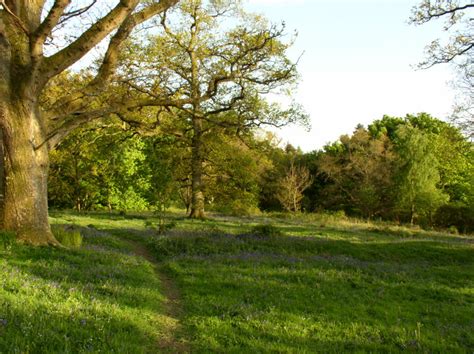 Killearn Glen – Killearn, Scotland