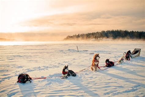 Six winter activities not to miss in Fort McMurray | SnowSeekers