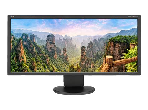 NEC MultiSync EA295WMI-BK - LED monitor - 29" (29" viewable) - 2560 x ...