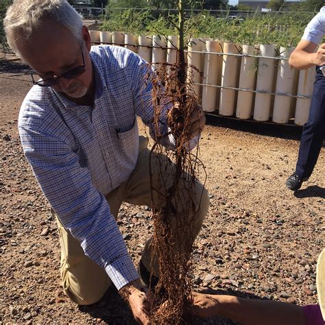 Water Conservation and Stormwater Management | Maricopa County, AZ