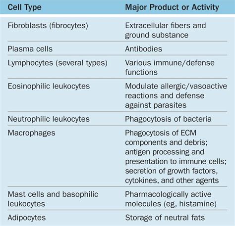 Connective Tissue | Basicmedical Key