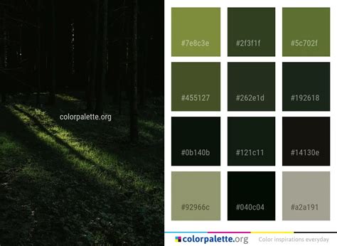 Forest Nature Green Color Palette | colorpalette.org