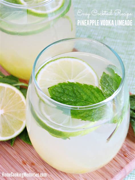 Easy Summer Drink Recipes With Vodka | Besto Blog