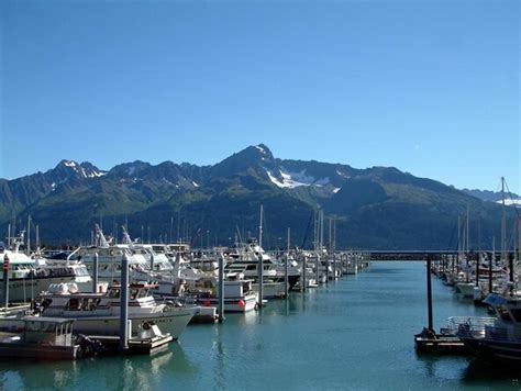 Resurrection Bay Cruise With Fox Island