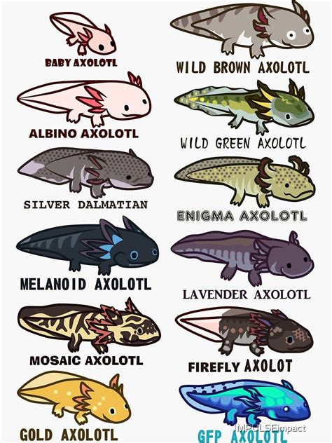 axolotl morphs and colors Sticker by IMPULSEimpact | Детеныши животных ...