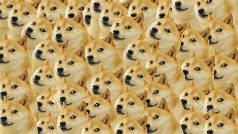 🔥 [49+] Doge Wallpapers | WallpaperSafari