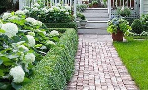 Front Yard Hedge Ideas - Native Home Garden Design