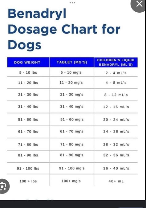 Benadryl Dosage Chart for Dogs : r/DobermanPinscher