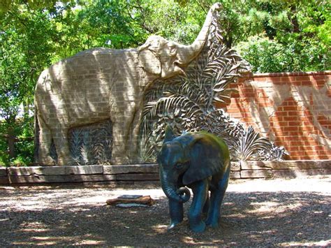 Hands On Experience At Oklahoma City Zoo - Our Changing Lives