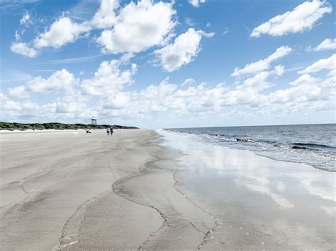 A Guide to the Best Jekyll Island Beaches, Including Driftwood Beach ...