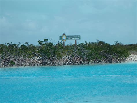 Bahamas National Trust: Expedition Parks 242 Andros - Girl With Her Views