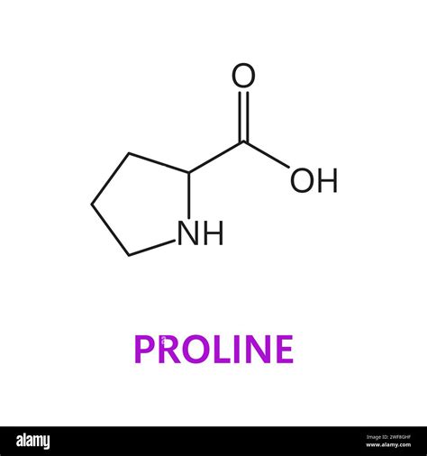 Amino acid chemical molecule of Proline, molecular formula and chain ...