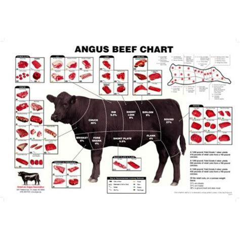 (27x40) Angus Beef Chart Meat Cuts Diagram Poster - Walmart.com ...