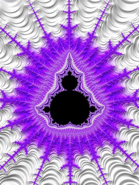 Mandelbrot Set Purple Black White Fractal Digital Art by Matthias Hauser