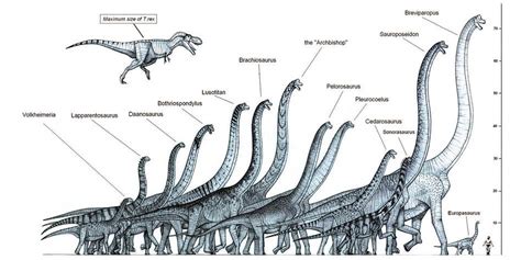 The heaviest dinosaurs - Top 10 | DinoAnimals.com