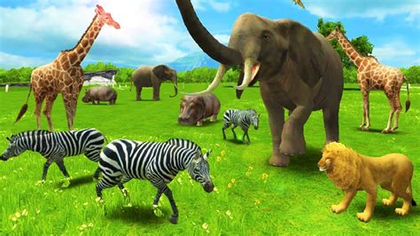 3d animal games for kids - aslclinic