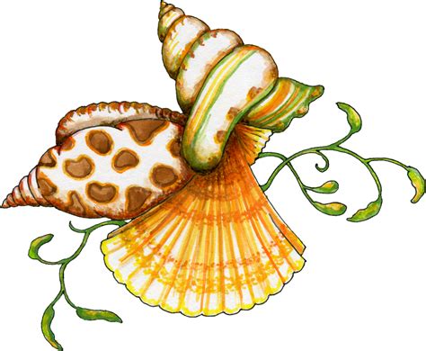 Shell Clip Art - ClipArt Best