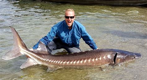 Guided Sturgeon Fishing Trips | Snake River