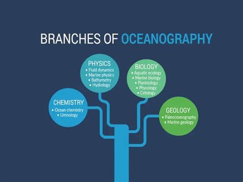 What is Oceanography? A Complete Guide to Ocean Studies - Earth How