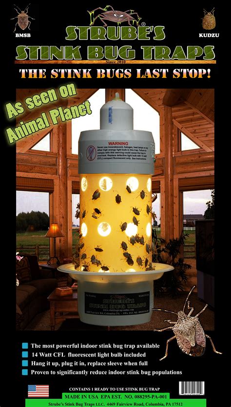 Stink Bug Traps | Bug trap, Stink bug trap, Stink bugs