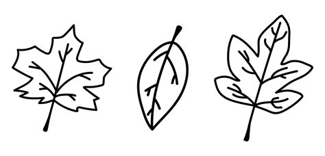 Set of doodle isolated autumn leaves. Collection of hand drawn fallen ...