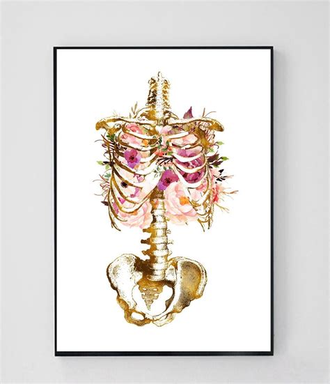 Anatomy Art Print, Rib Cage Anatomy Print, Skeleton Art, Orthopedic ...