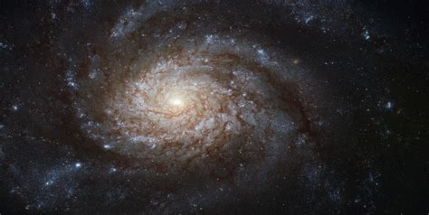 File:NGC 3810 (captured by the Hubble Space Telescope).jpg - Wikipedia ...