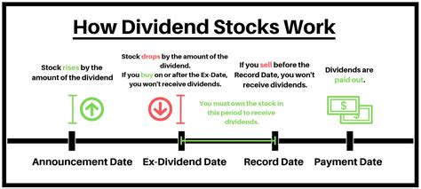 Good dividend stocks pocket cash - grossworking