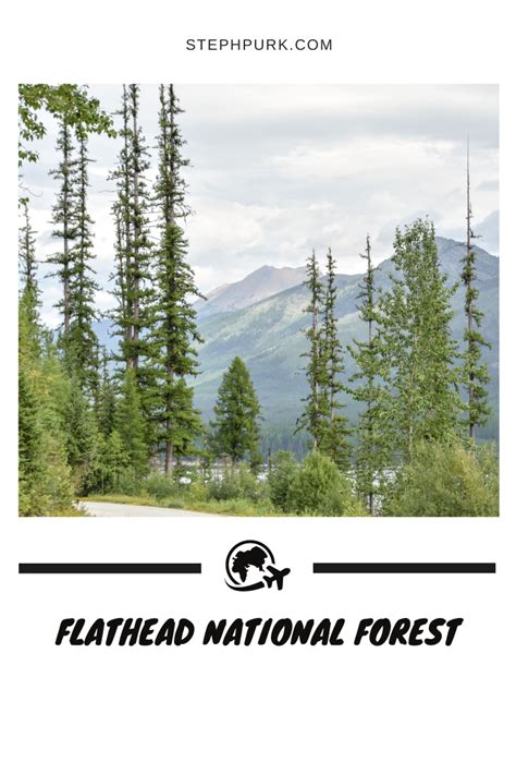 Flathead national forest – Artofit