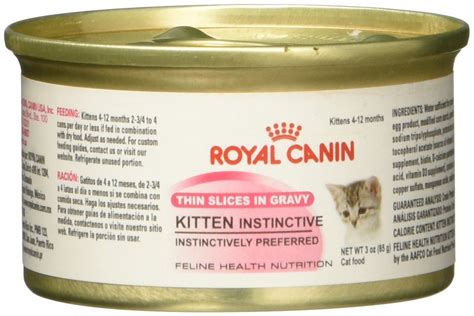 royal canin wet cat food ingredients - Regretful Weblog Frame Store