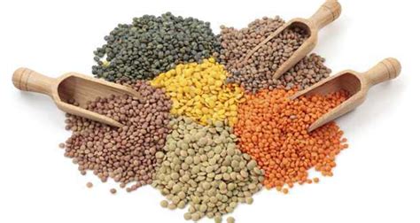 Your Mom Was Right. Pulses Have The Health Benefits - Find Health Tips