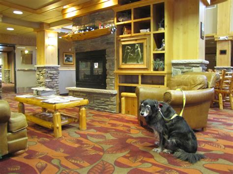 Brainerd Hotels - Pet Friendly Hotels - Brainerd, MN