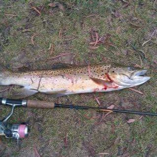 Fishing in Lake Tiberias