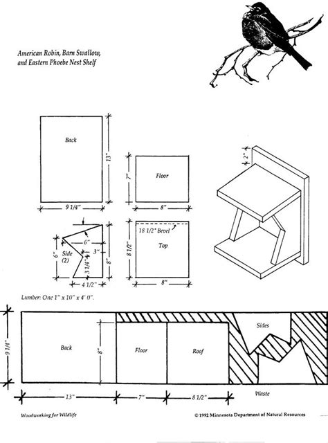 Help A Habitat - Build a Bird House - Robin, Barn Swallow and Phoebe ...