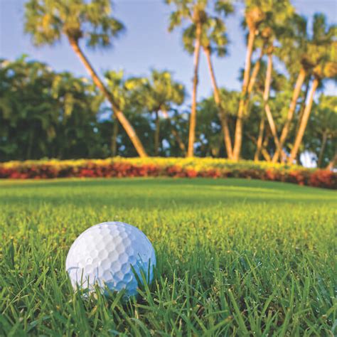 Golf Courses in Marco Island & Naples, FL | Must Do Visitor Guides