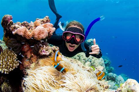 From Cairns: Luxury Great Barrier Reef Snorkeling & Diving - Travel ...