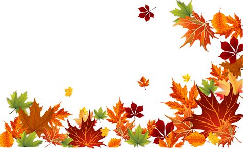 Autumn Foliage, Colorful Leaves, Seasonal Nature PNG Picture