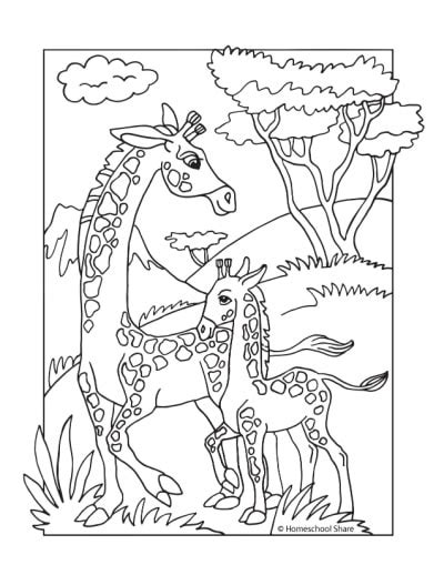 African Animals Coloring Pages - Homeschool Share