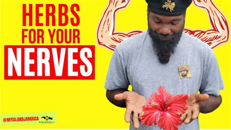 7 INCREDIBLE HERBS To Soothe Your NERVES! #homeremedies 🇯🇲 #rasta - YouTube