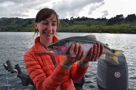 Trout Fishing on Lake Taupo with Pinnacle Charters - NZ Pocket Guide #1 ...