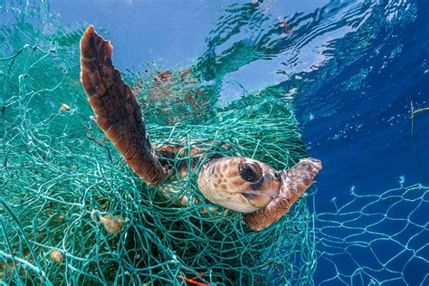 Huge amounts of abandoned fishing gear litter the world's oceans | New ...