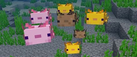 Axolotl colors added to Minecraft 1.17 Caves & Cliffs update: All you ...