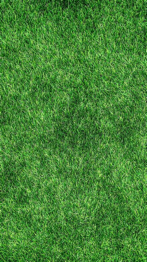 Green Grass Background Hd