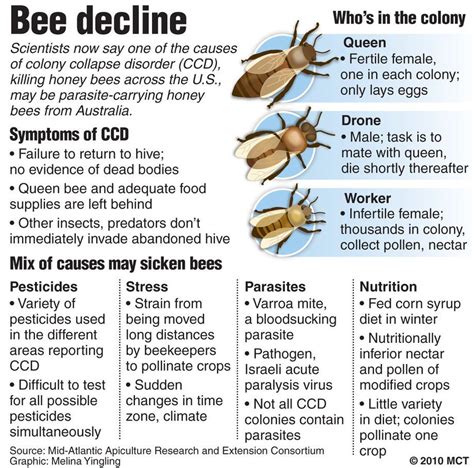 Recognizing Colony Collapse Disorder Honey Uses, Raw Honey, Bee Life ...