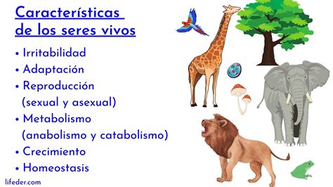 Características de los seres vivos