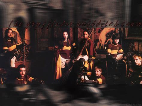 Gryffindor Team - Quidditch Wallpaper (9740696) - Fanpop