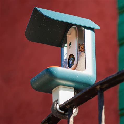 This “Nest Security Camera” for birds lets you bird-watch right from ...