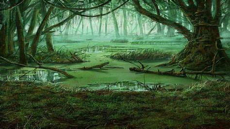 swamp scary forest photography studio background High quality Computer ...